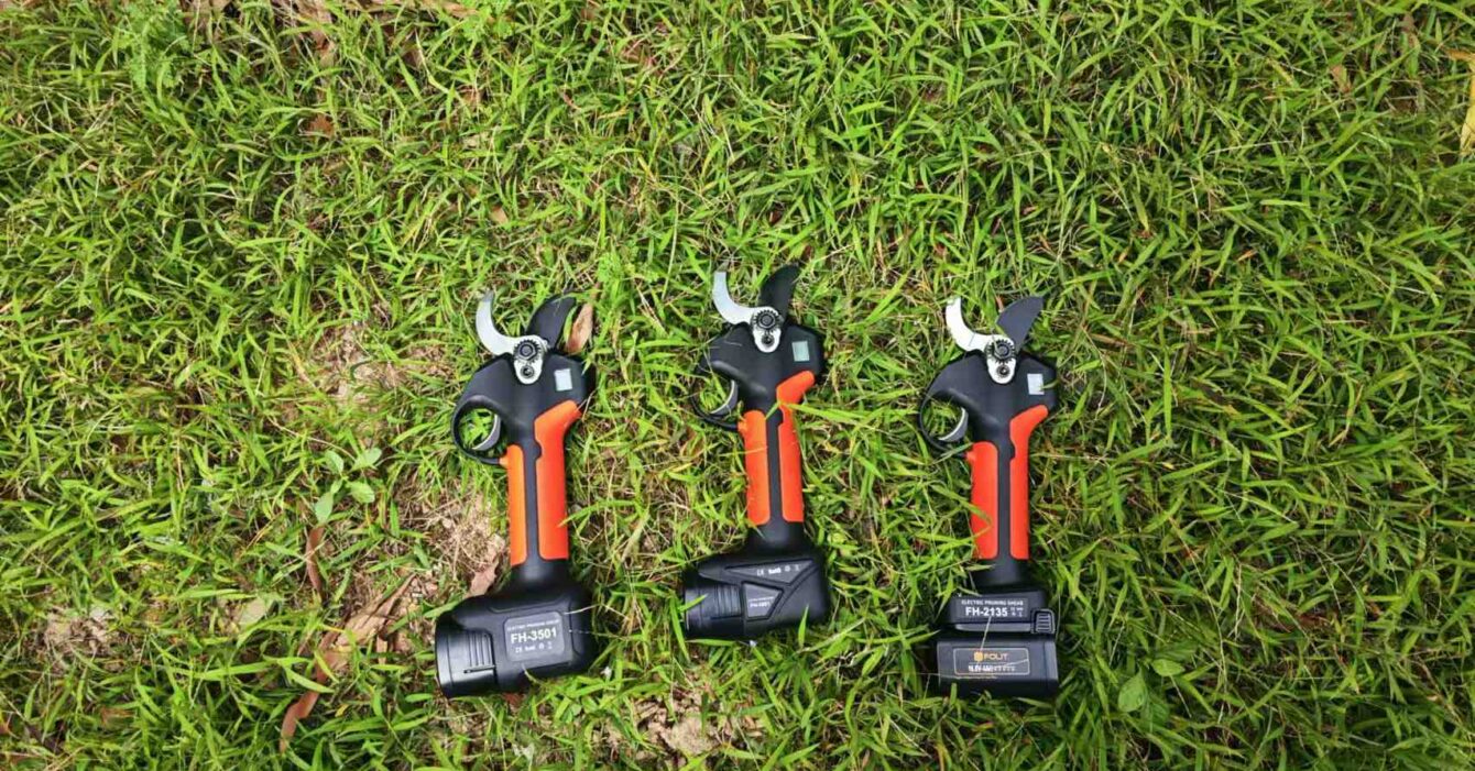 How to Use Secateurs for Perfect Pruning