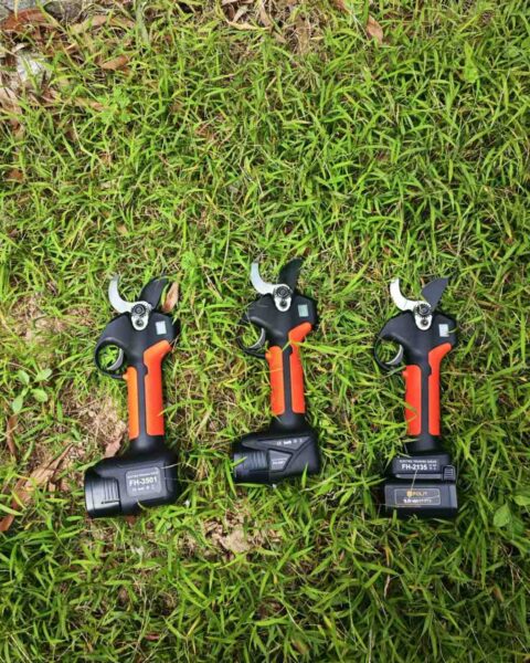 How to Use Secateurs for Perfect Pruning