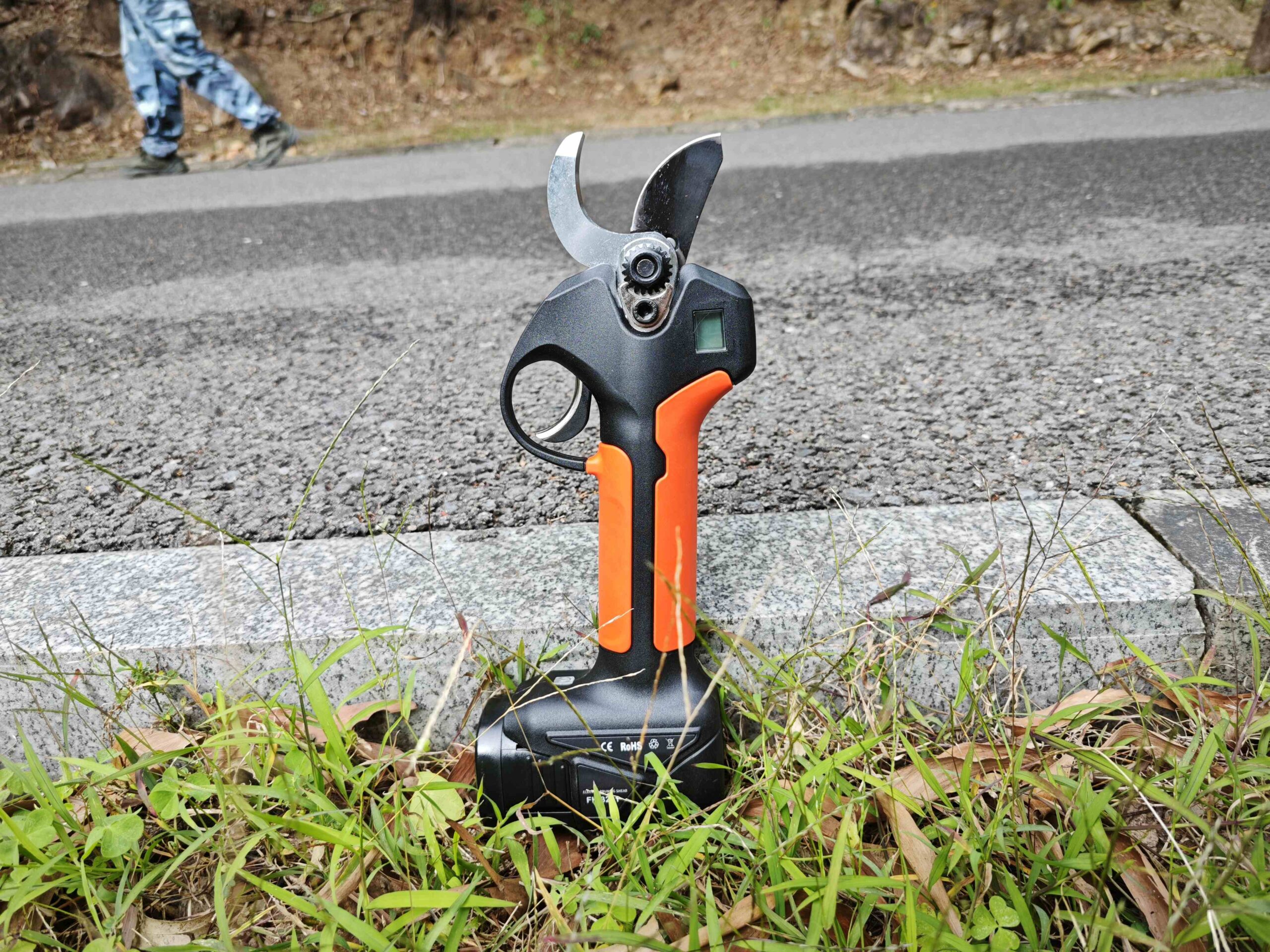 How to Use Secateurs for Perfect Pruning