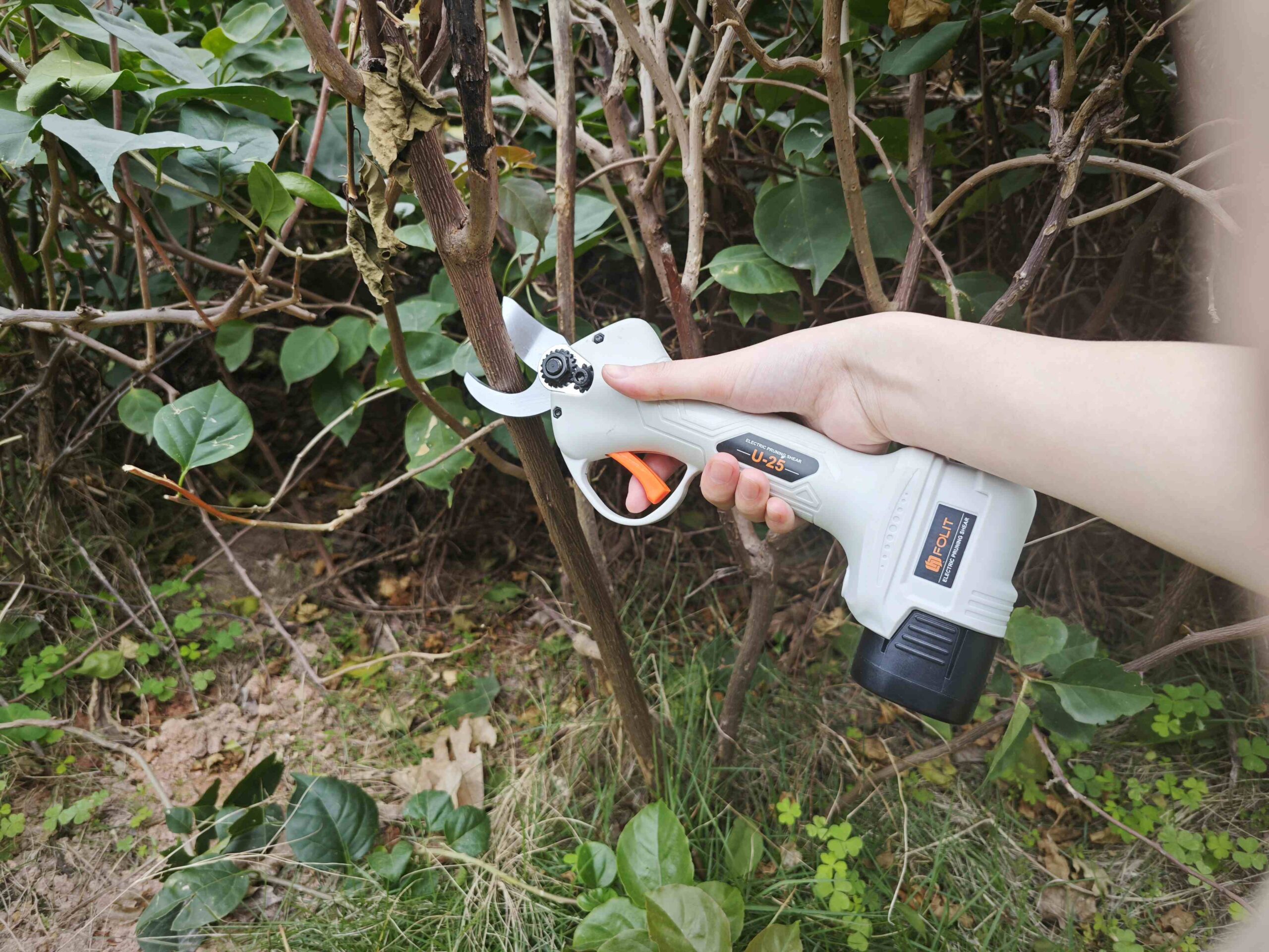 How to Use Secateurs for Perfect Pruning