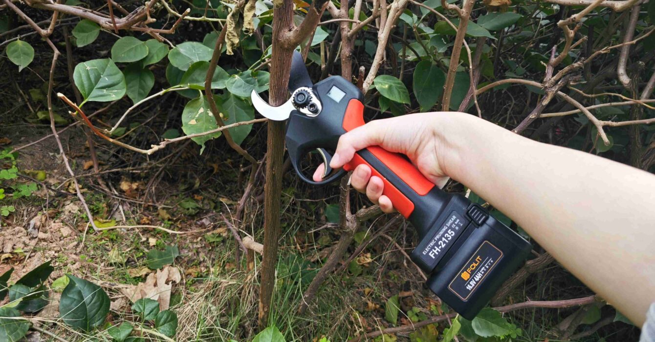 Top 10 Mistakes to Avoid When Using Electric Secateurs – And How to Fix Them