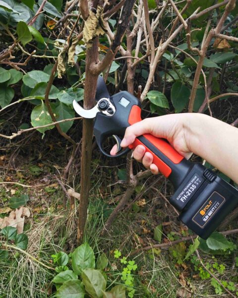 Top 10 Mistakes to Avoid When Using Electric Secateurs – And How to Fix Them
