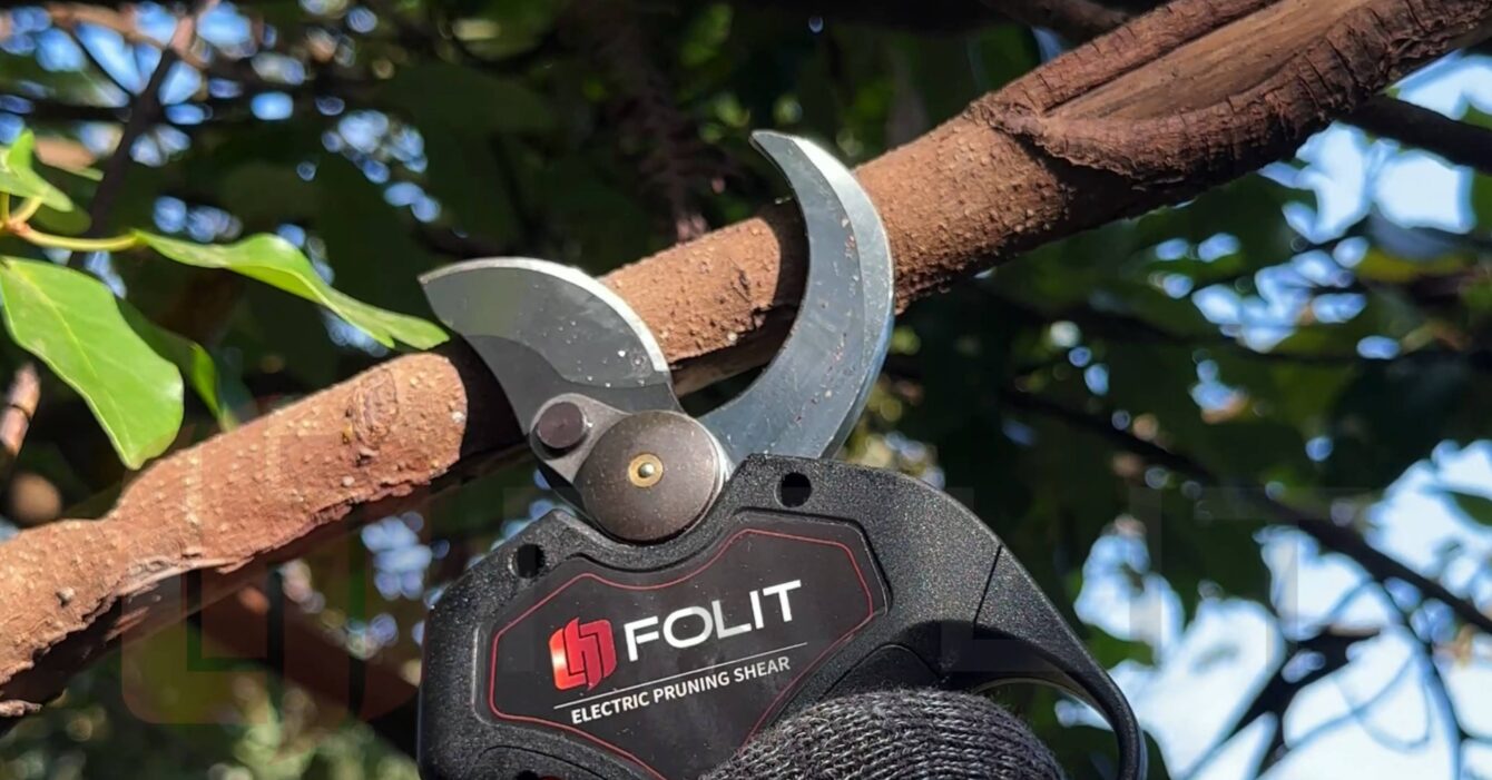 Choosing the Right Blade Type for Different Plants and Branches