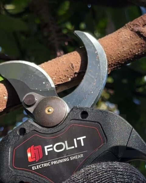 Choosing the Right Blade Type for Different Plants and Branches